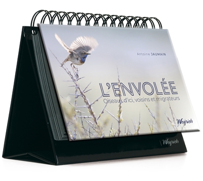 L'envolée : oiseaux d'ici, voisins et migrateurs