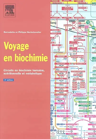 Voyage en biochimie : circuits en biochimie humaine, nutritionnelle et métabolique