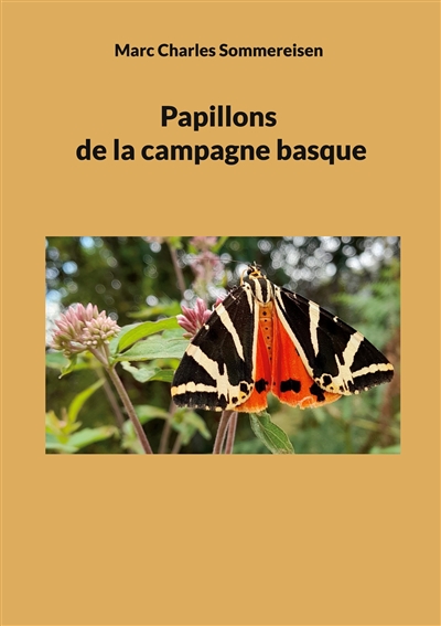 Papillons de la campagne...