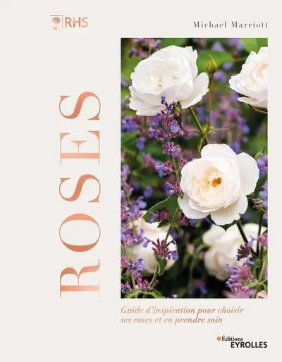 Roses : guide d'inspiration pour choisir ses roses et en prendre soin