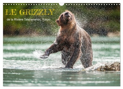 LE GRIZZLY de la Rivière...