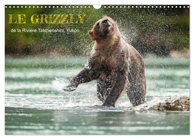 LE GRIZZLY de la Rivière Tatshenshini. Yukon (Calendrier mural 2026 DIN A3 vertical), CALVENDO calendrier mensuel : 13 PHOTOS DE L'OURS GRIZZLY