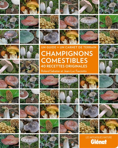 Champignons comestibles : 40 recettes originales : un guide + un carnet de terrain