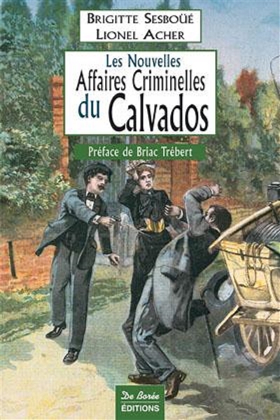 Les nouvelles affaires criminelles du Calvados