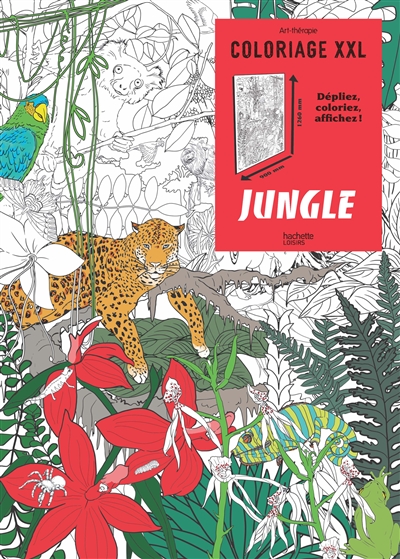 Coloriage XXL : jungle