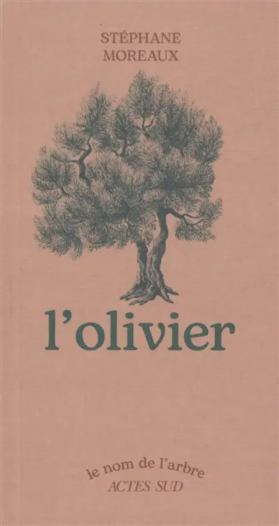 L'olivier