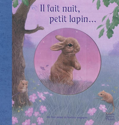 Il fait nuit, petit lapin... : un livre animé de fenêtres magiques