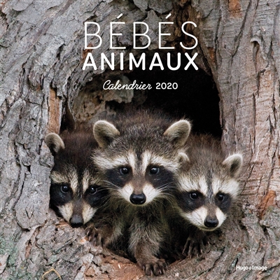 Bébés animaux : calendrier 2020