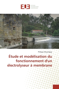 Etude et modélisation du...