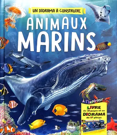 Animaux marins : construis ton diorama