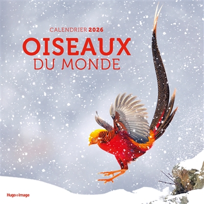 Calendrier mural Oiseaux du...