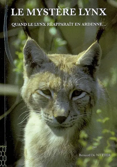 Le mystère lynx : quand le lynx réapparaît en Ardenne...