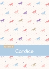 Le cahier de Candice :...
