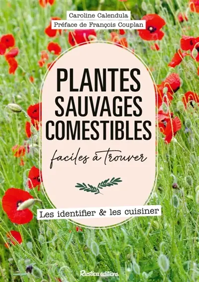 Plantes sauvages comestibles faciles à trouver
