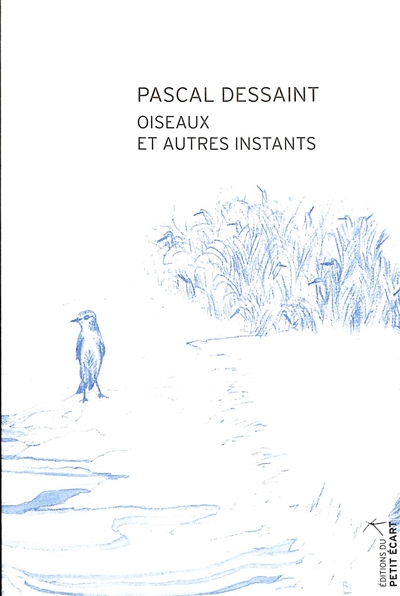 Oiseaux et autres instants