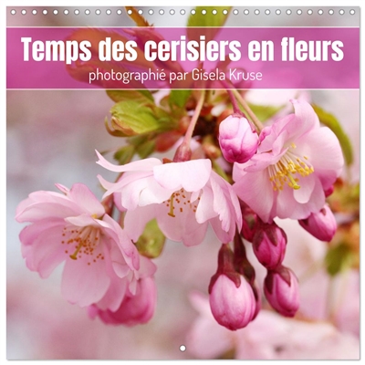 Temps des cerisiers en...