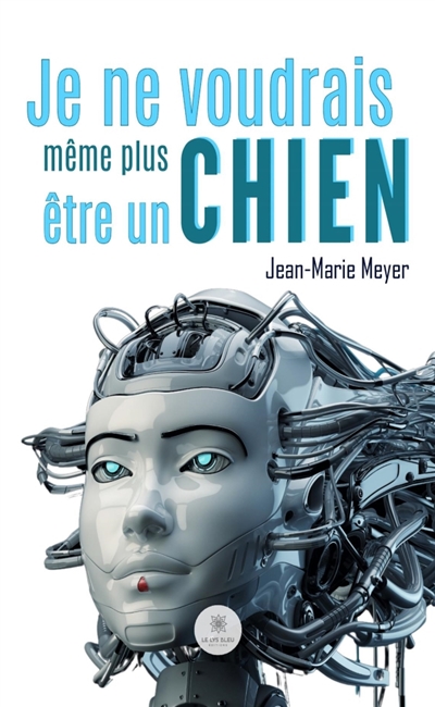 Je ne voudrais même plus...