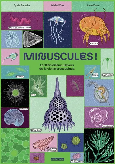 Minuscules ! : le merveilleux univers de la vie microscopique