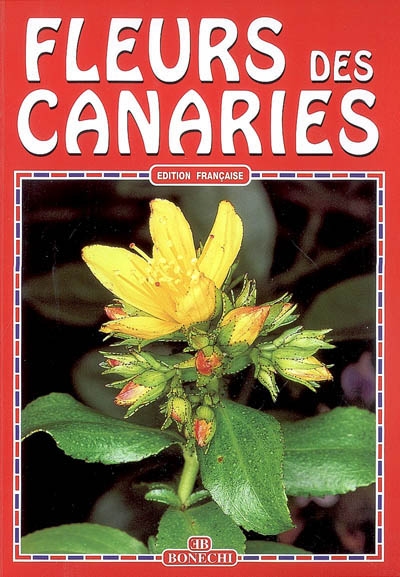 Fleurs des Canaries