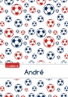 Le cahier d'André : Petits...