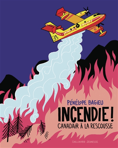 Incendie ! Canadair à la rescousse