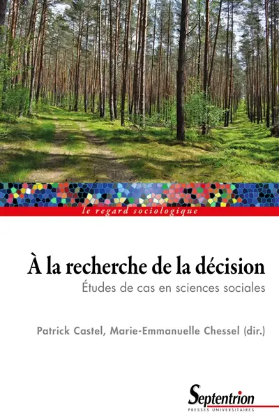A la recherche de la décision : études de cas en sciences sociales