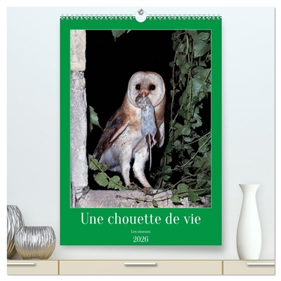 Une chouette de vie, les...