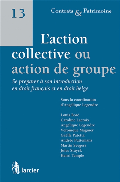 L'action collective ou action de groupe : se préparer à son introduction en droit français et en droit belge