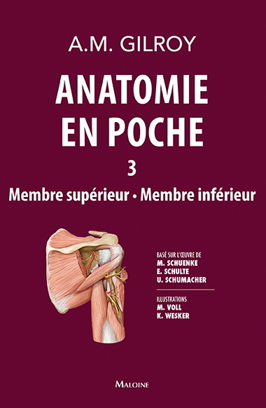Anatomie en poche. Vol. 3. Membre supérieur, membre inférieur
