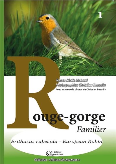 Rouge-gorge familier : erithacus rubecula, European robin
