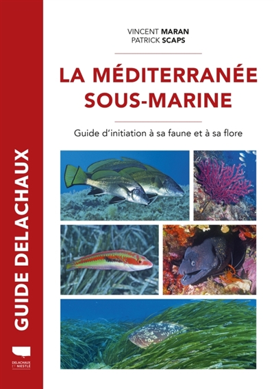 Méditerranée sous-marine : guide de la faune et de la flore