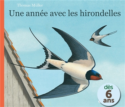 Année (une) avec les hirondelles