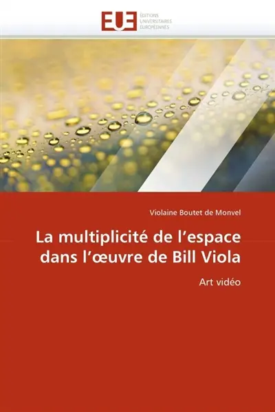 La multiplicité de l'espace dans l'oeuvre de bill viola