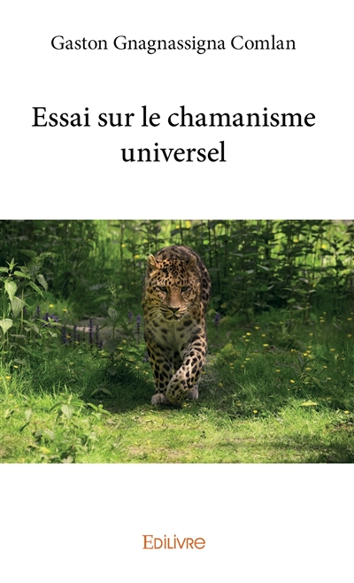 Essai sur le chamanisme...