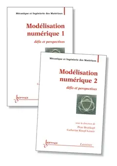 Modélisation numérique : défis et perspectives