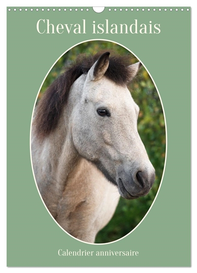 Cheval islandais :...