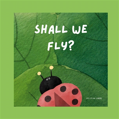 Shall We Fly ?
