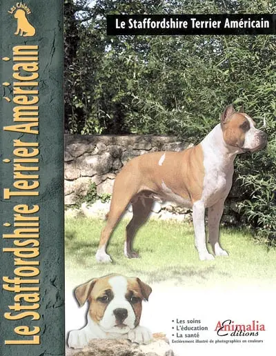 Le staffordshire-terrier américain
