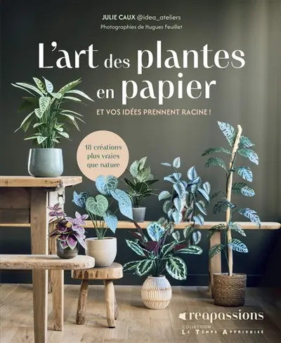 L'art des plantes en papier : et vos idées prennent racine ! : 18 créations plus vraies que nature