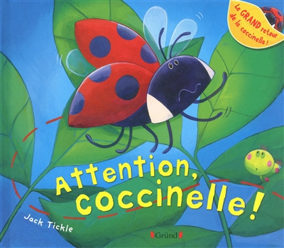 Attention coccinelle !