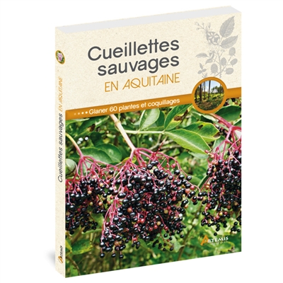 Cueillettes sauvages en Aquitaine : glaner 60 plantes et coquillages