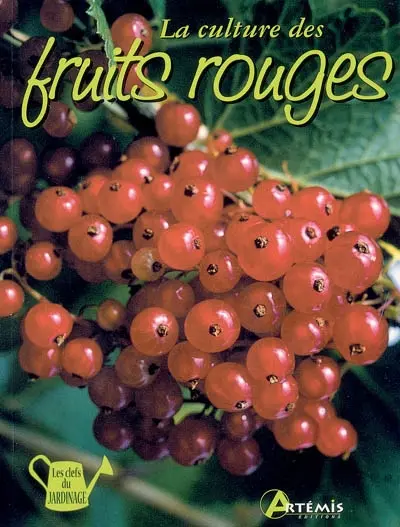 La culture des fruits rouges
