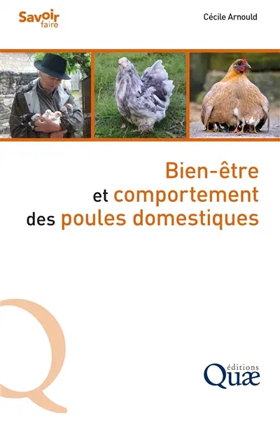 Bien-être et comportement des poules domestiques