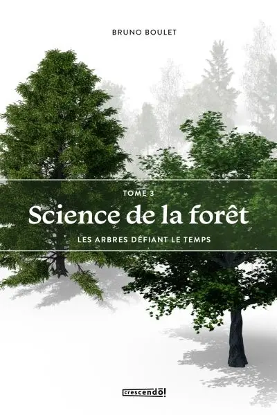 Les arbres défiant le temps 3