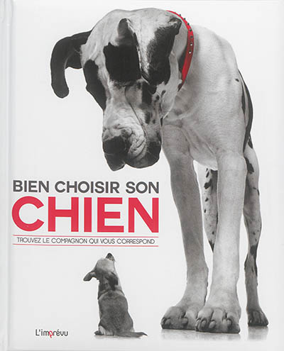 Bien choisir son chien : trouvez le compagnon qui vous correspond