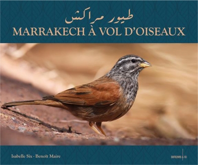 Marrakech à vol d'oiseaux : petit guide d'ornithologie à l'usage des visiteurs de Marrakech