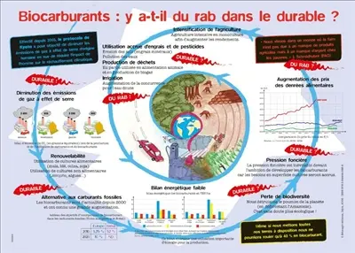 Biocarburants : y a-t-il du rab dans le durable ?