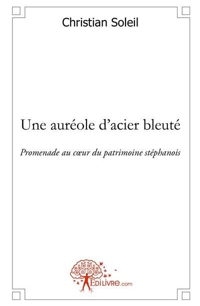 Une auréole d'acier bleuté...