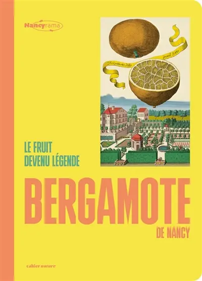 Bergamote de Nancy : le fruit devenu légende