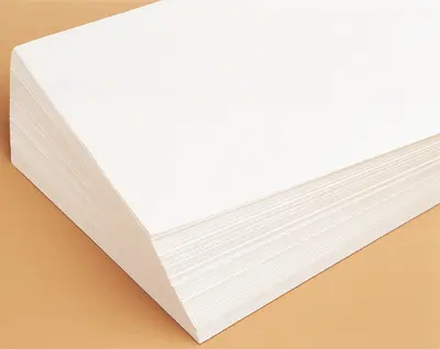Feuilles blanches grand format